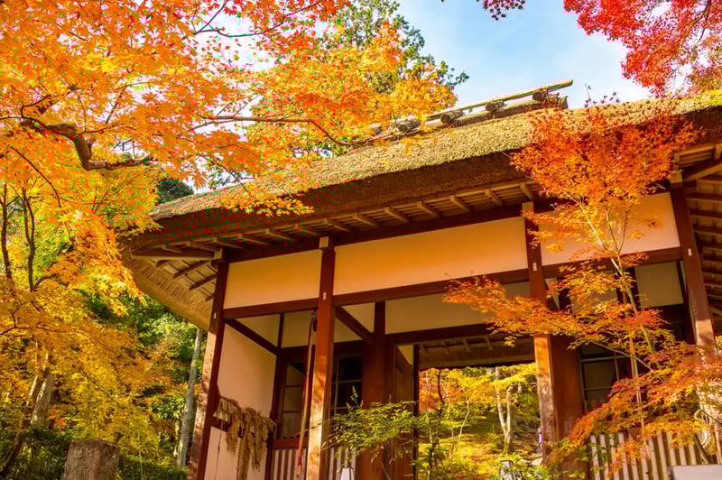 Jojako-ji Temple (常寂光寺)