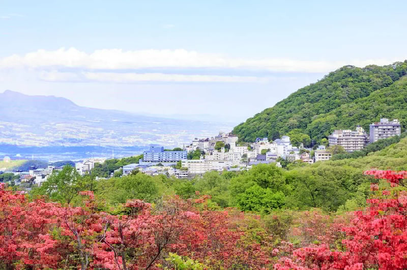 Flowers and Ikaho Onsen Town