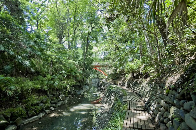 The valley in the season of fresh green
