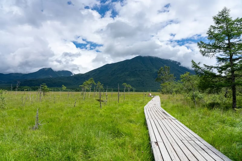 战场原湿原