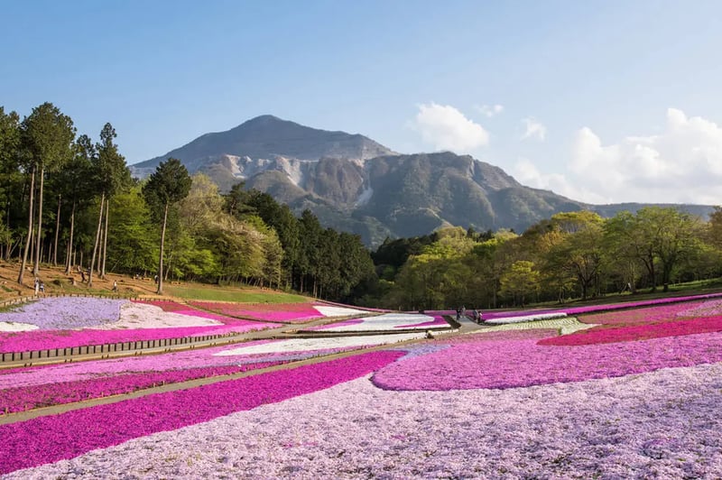 Hitsujiyama Park