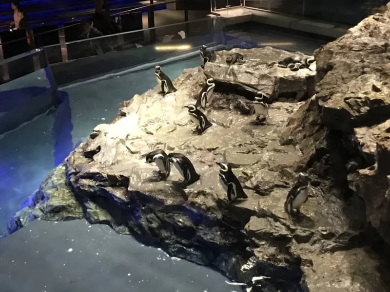 Sumida Aquarium