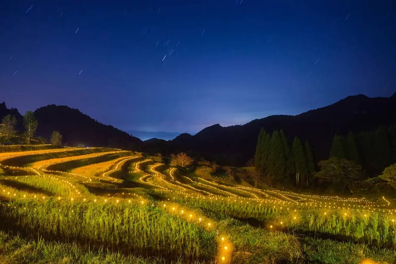 Oyama Senmaida (rice field)