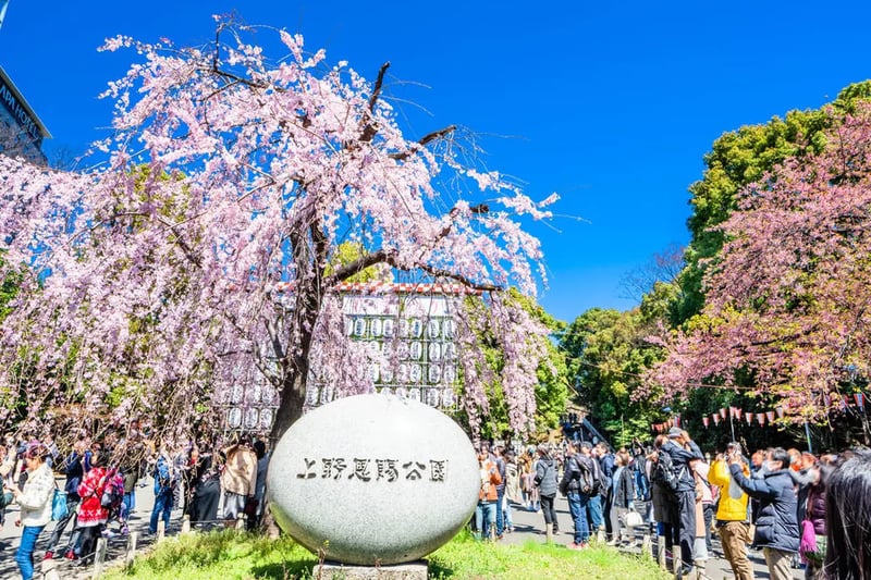 上野恩賜公園