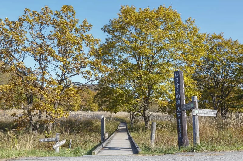 Yusuge Road