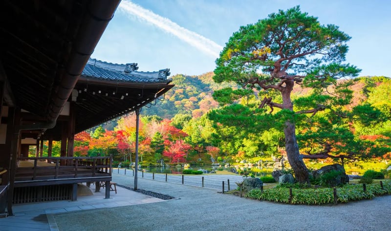 Tenryu-ji Temple(天龍寺)