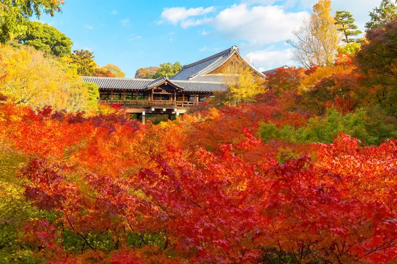 Tofuku-ji Temple (東福寺)