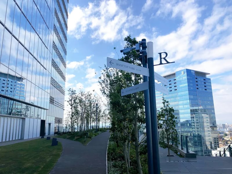 ROOFTOP PARK