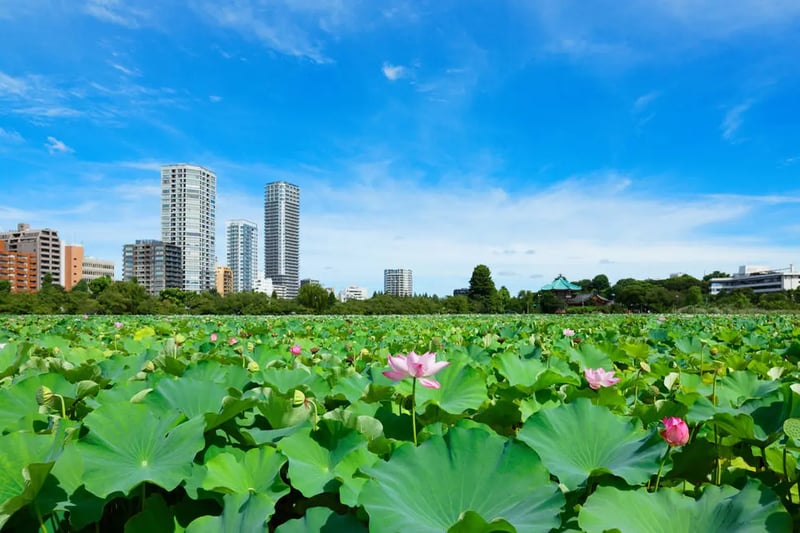 上野恩賜公園	