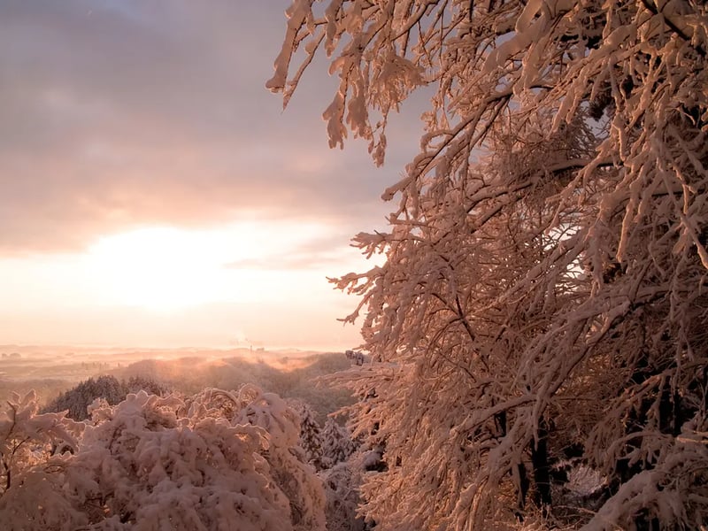 snowy landscape