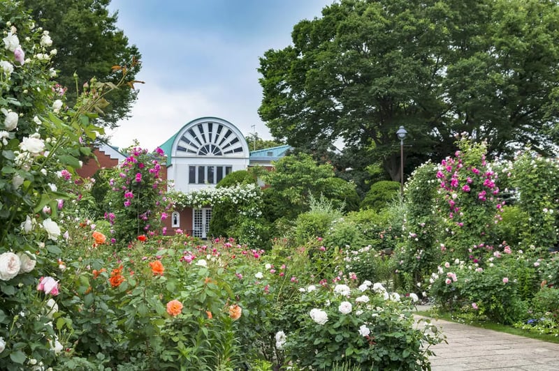 Hill park with a view of the harbor