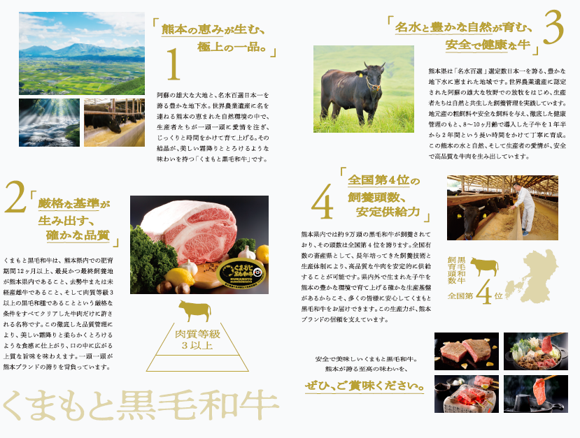 Kumamoto Black Wagyu Landscape