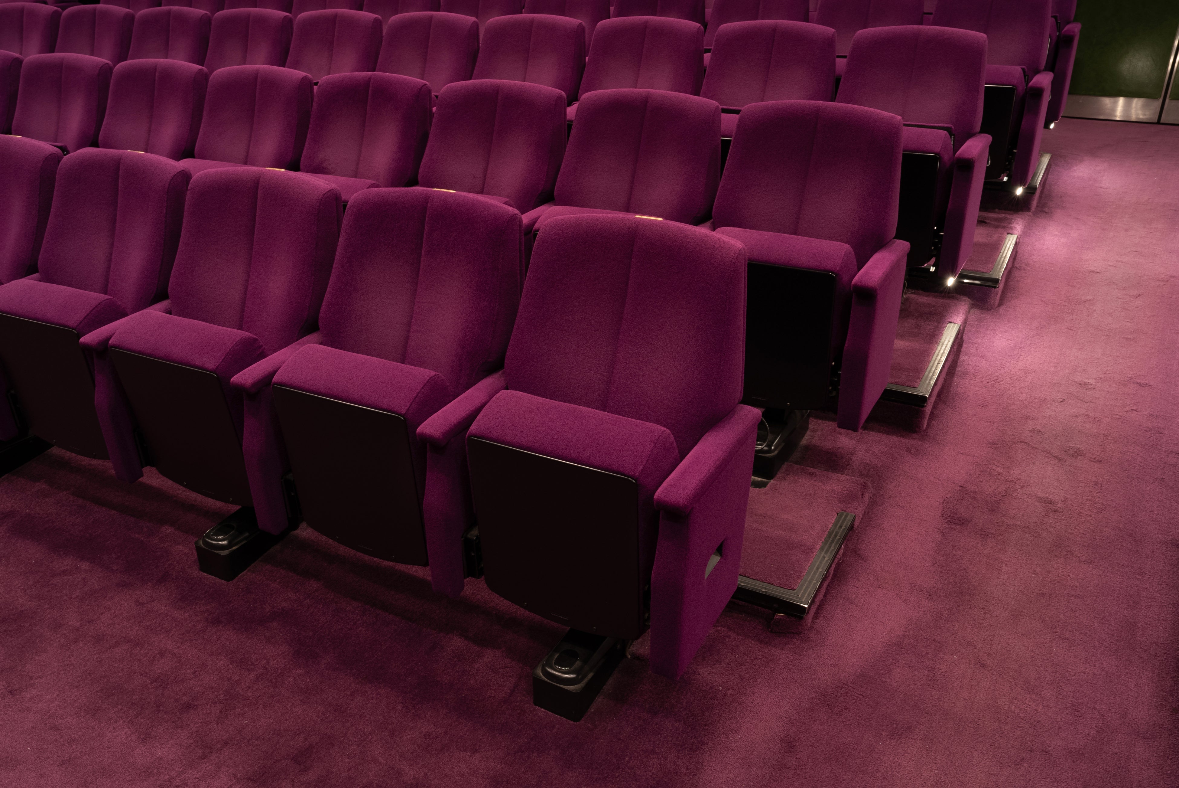 Sillón Confort con Moqueta