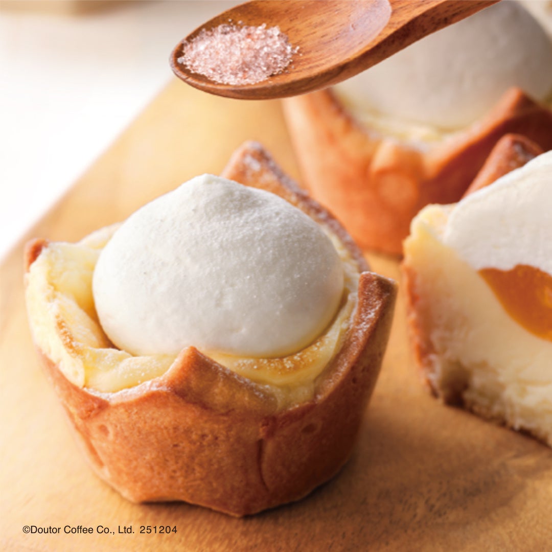 Triple-Layer Gateau Chocolat with Citrus