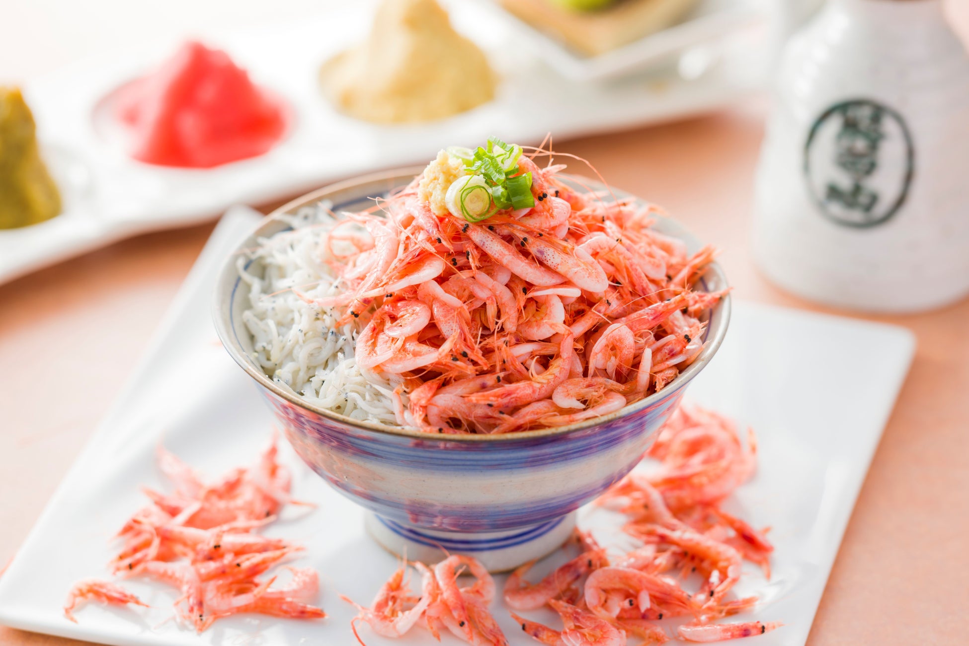 Mangkuk nasi Suruga-don