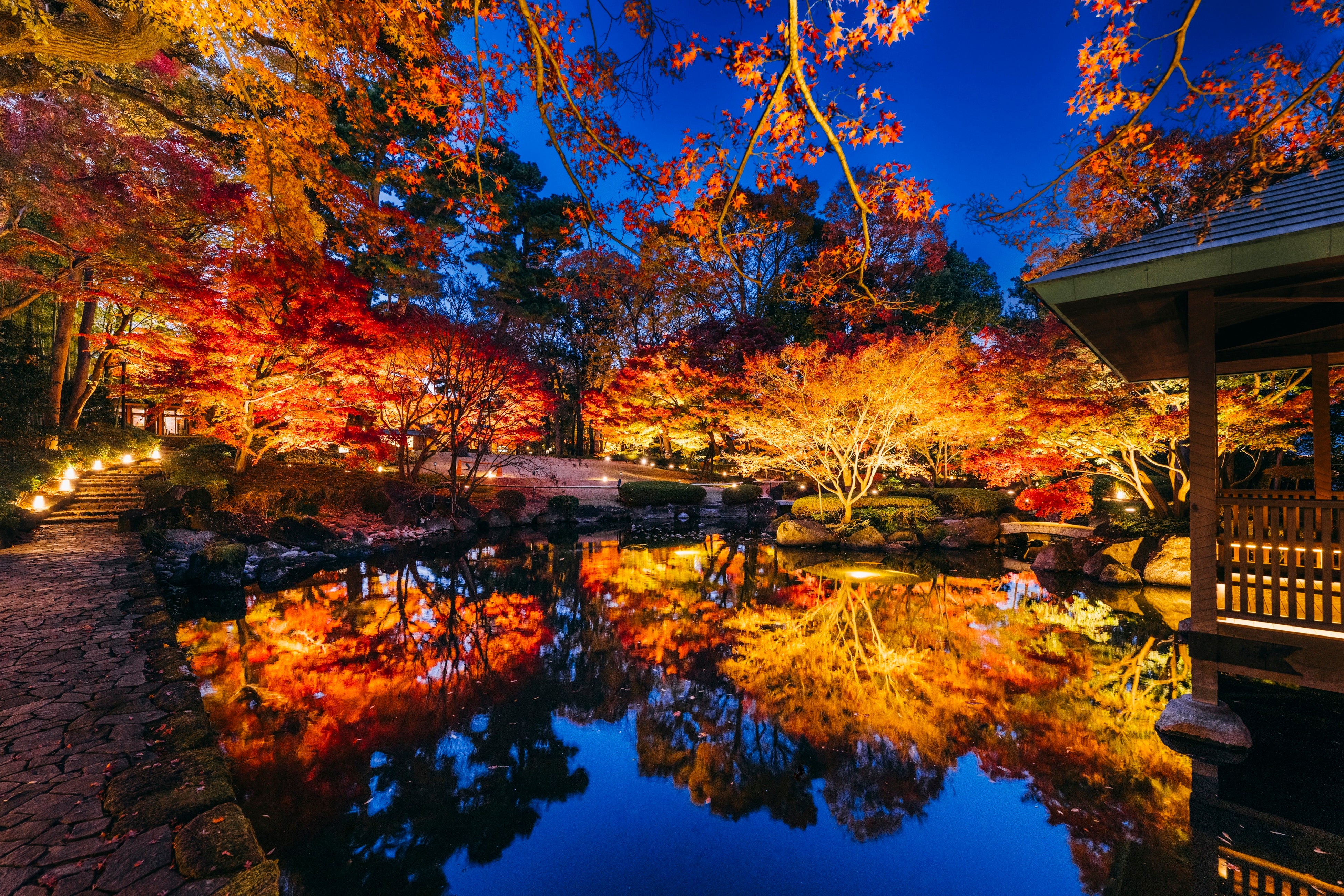 Illuminated autumn foliage at Otaguro Park