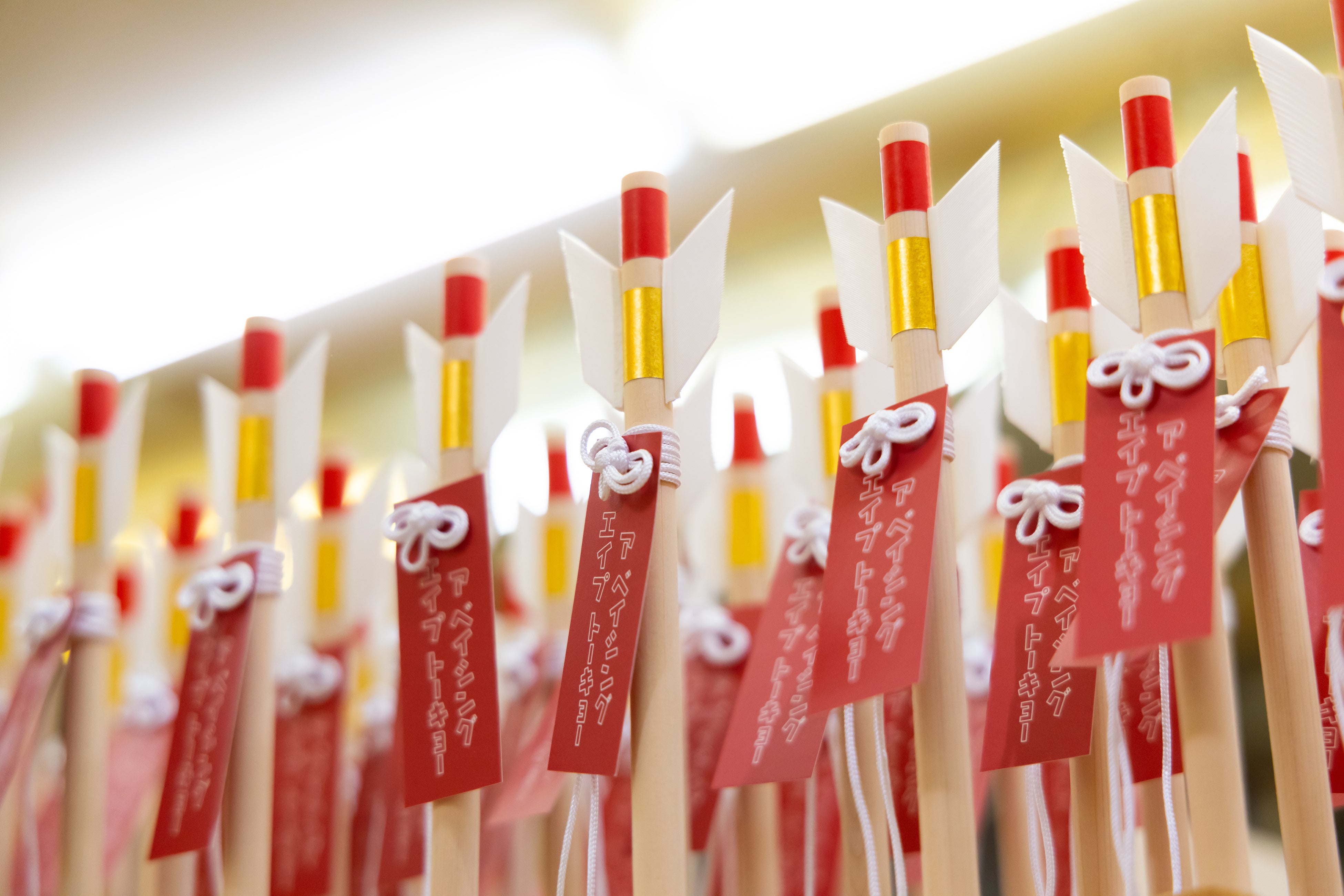 Primer plano del trabajo de plumas