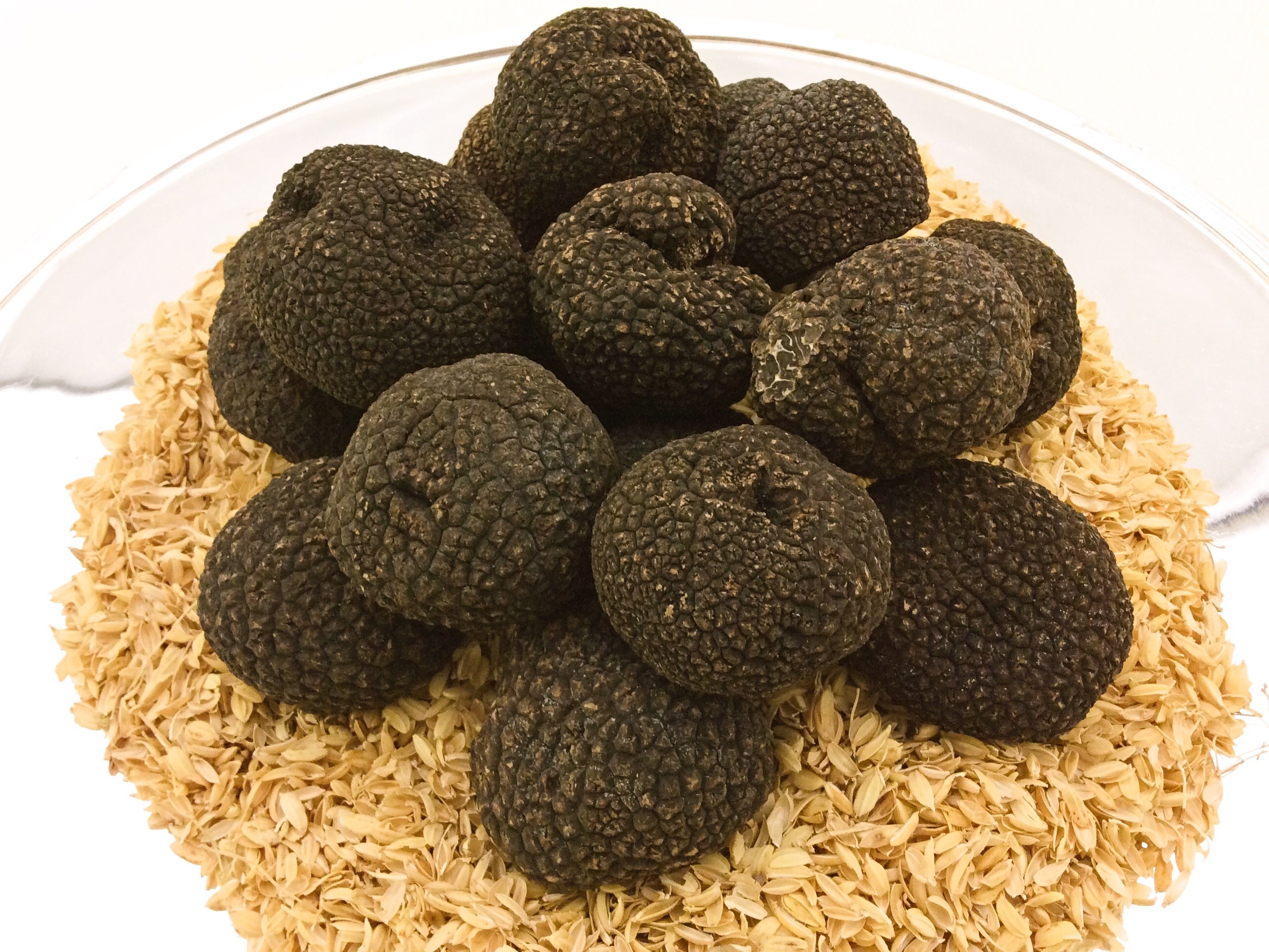 Black truffles in season