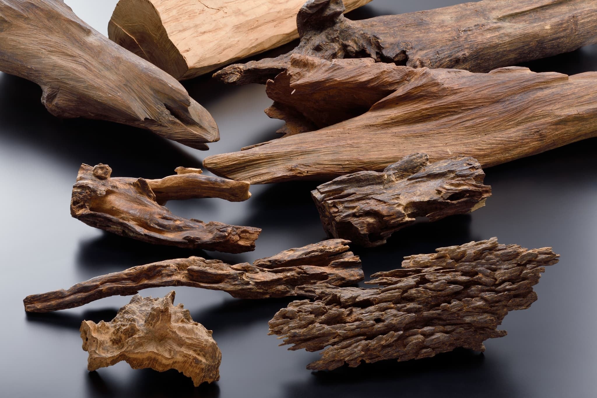 Experience the Rare Kyara Fragrance at Kohgen on Japan's Incense Day ...